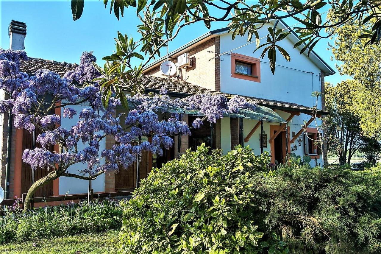 B&B La Mia Oasi Comacchio Kültér fotó